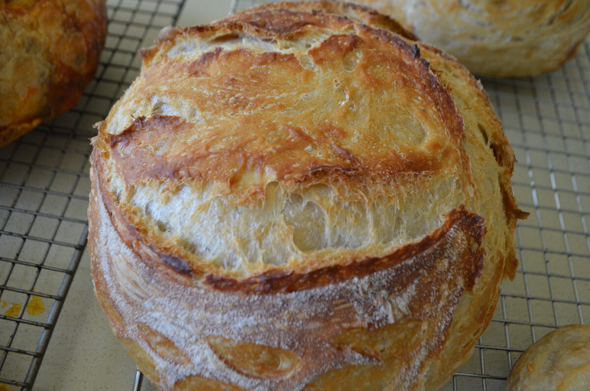 Sourdough loaves